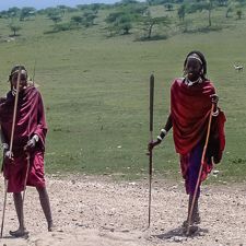 Displacement of Local Peoples